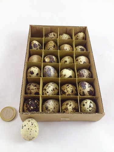 Quail eggs 24 p.